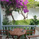 Πανσιόν Elena 3*