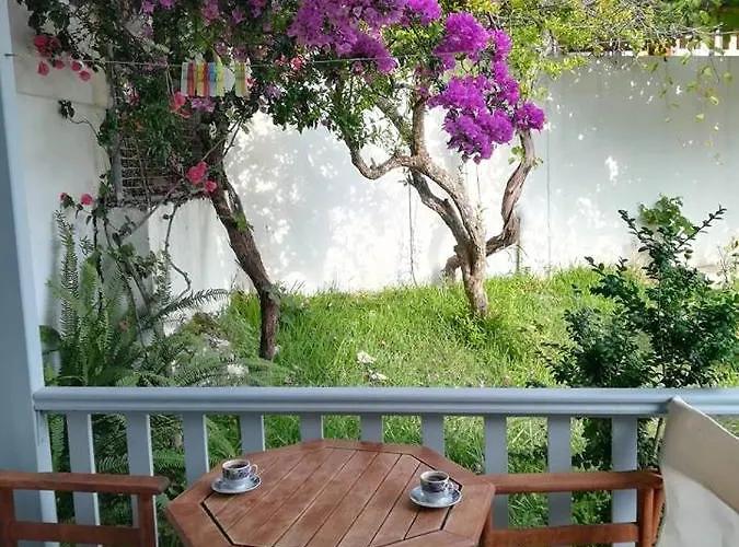 Guest house Elena 3*